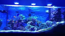 NEW PopBloom RL90 WiFi Led Aquarium Light Full Spectrum, Reef Light Aquarium Saltwater Coral Growing Marine Aquarium Tank Lamp