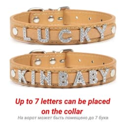 Bling Rhinestone Puppy Dog Collars Personalized Small Dogs Cat Chihuahua Collar Custom Necklace Free Name Charms Pet Accessories
