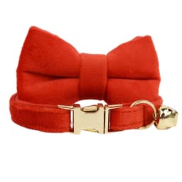Personalized Collar for Cat Kitten Collar Velvet Puppy Small Dogs Collars Customized Engraving Name Cat Necklace with Bell Bow