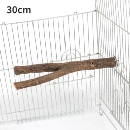 15/20/30cm Natural Wood Pet Parrot Raw Wood Fork Tree Branch Stand Rack Squirrel Bird Hamster Branch Perches Chew Toy StickD9091
