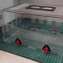 Ant Workshop Activity Area Expands Ant Nests in Theater Areas and Crawls Pet Feeding Boxes