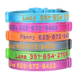 Custom Nylon Embroidered Dog Collar Personalized Pet ID Name Collars Refletive Necklace for Small Medium Large Dogs Accessories