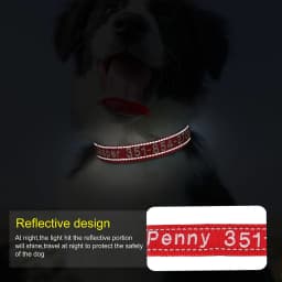 Custom Nylon Embroidered Dog Collar Personalized Pet ID Name Collars Refletive Necklace for Small Medium Large Dogs Accessories