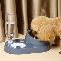 Food Container with Waterer Pet Waterer Feeder 2-in-1 Cat Bowl Water Dispenser Automatic Water Storage Pet Dog Cat Food Bowl