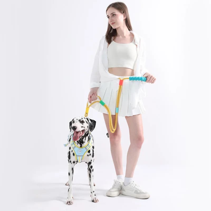 Versatile Pet Traction Leashes with a Comfortable Foam Handle
