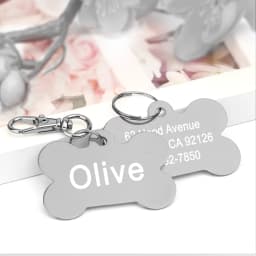 Personalized Dogs Cats ID Tag Custom Alloy Bone Puppy Kitten Collar Accessories Anti-lost Pet Name Tags for Small Large Dog Cat