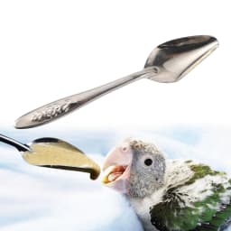 5pcs Portable baby bird feeding water spoon bird parrot feeding spoon stainless steel water milk powder feeder spoon bird food