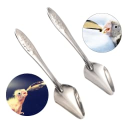 5pcs Portable baby bird feeding water spoon bird parrot feeding spoon stainless steel water milk powder feeder spoon bird food