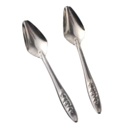 5pcs Portable baby bird feeding water spoon bird parrot feeding spoon stainless steel water milk powder feeder spoon bird food