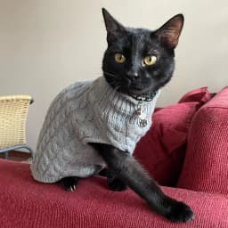 Warm Knitted Sphynx Cat Sweater Winter Pet Clothes for Cats Mascotas Clothing Katten Kedi Kitten Puppy Pullovers Ropa Para Gatos
