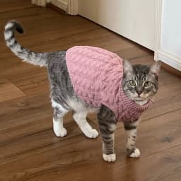 Warm Knitted Sphynx Cat Sweater Winter Pet Clothes for Cats Mascotas Clothing Katten Kedi Kitten Puppy Pullovers Ropa Para Gatos