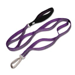 TRUELOVE Pet Leash Carabiner Traction Rope 3M Reflective Pull-resistant Nylon Webbing Big and Ferocious Dog Dedicated out YL1832