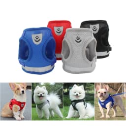 Dog Harness Leash Bulldog Vest Style Summer Reflective Puppy Harnesses Teddy Pet Supplies Breathable Rope Small Dog Collar Corgi