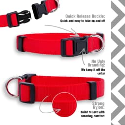 Durable Basic Nylon Dog Collar with Quick Release Adjustable for Extra Small Medium Dogs, Pet Training Supplies Accessories