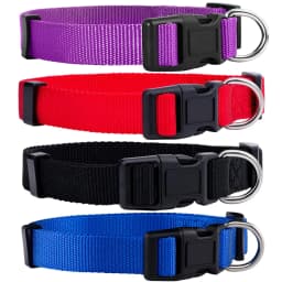 Durable Basic Nylon Dog Collar with Quick Release Adjustable for Extra Small Medium Dogs, Pet Training Supplies Accessories
