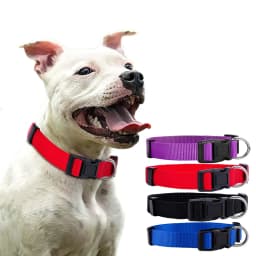 Durable Basic Nylon Dog Collar with Quick Release Adjustable for Extra Small Medium Dogs, Pet Training Supplies Accessories
