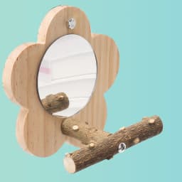 Wooden Bird Perch Natural Wood Bird Perch Stand with Mirror Parrots Platform Cage Accessories Branch Perch Rod Stand