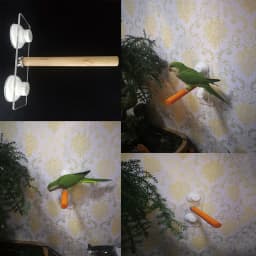 1/2ps Parrot Pet Raw Standing Stick Wood Hanging Stand RackToy Sticksstand Parakeet Branch Perches ForBird Cage Bar Pet Supplies