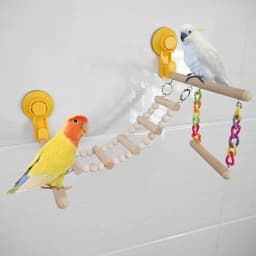 Suction Cup Wood Parrot Stand Hanging Bird Toy Window Shower Perch Toy for Budgie Bluebirds Hummingbird Bird Supplies