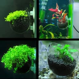 Glass Aquarium decoration Hanging fish tank Mini Crystal Pot Polka Water potted planting cylinder cup aquarium accessories