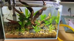 Large Aquarium Driftwood Natural Fish Tank Plant Decor Tree Aquarium Fish Bowl Stump Aquarium Fishtank Landscaping Decor Pet
