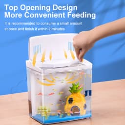 Fish Tank Living Room Small Mini Douyu Tank Household Tabletop Ecological Tank Self Circulating Back Filter Goldfish Tank