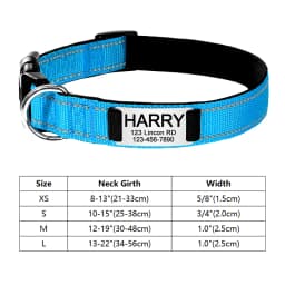 Personalized Reflective Custom Engraved Dog Collars Name ID Tag Luminous Puppy Gleamy Large Unisex Dog Collar