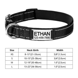 Personalized Reflective Custom Engraved Dog Collars Name ID Tag Luminous Puppy Gleamy Large Unisex Dog Collar