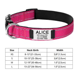 Personalized Reflective Custom Engraved Dog Collars Name ID Tag Luminous Puppy Gleamy Large Unisex Dog Collar