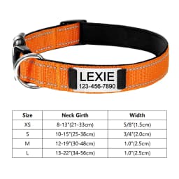 Personalized Reflective Custom Engraved Dog Collars Name ID Tag Luminous Puppy Gleamy Large Unisex Dog Collar