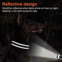 Personalized Reflective Custom Engraved Dog Collars Name ID Tag Luminous Puppy Gleamy Large Unisex Dog Collar