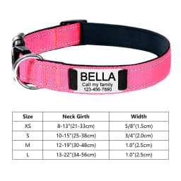 Personalized Reflective Custom Engraved Dog Collars Name ID Tag Luminous Puppy Gleamy Large Unisex Dog Collar