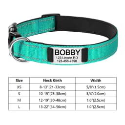 Personalized Reflective Custom Engraved Dog Collars Name ID Tag Luminous Puppy Gleamy Large Unisex Dog Collar