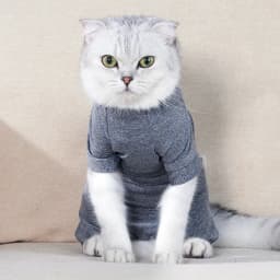 Pet Postoperative Clothes Cat Weaning Cotton Clothes Cat Surgery Recovery Suit Winter Warm Anti-licking Surgery After Recovery