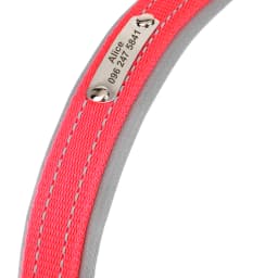 Personalized Dog Collar Reflective Dogs ID Collars Free Engrave Name Collars Adjustable for Small Medium Large Dogs Pet Pitbulls