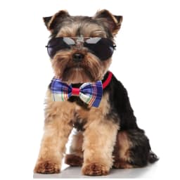20 Pcs Pet Supplier Grid Design Dog Cat Bow Tie Adjustable Dog Collar Necktie Pet Grooming Accessories For Small Dog