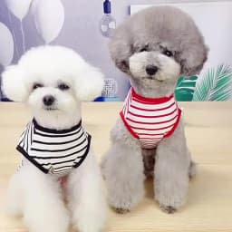 Striped Puppy Sleeveless Vest Spring Summer Pet Clothes for Small Dogs Pomeranian Chihuahua Pullovers Kitten T-shirts Outfits