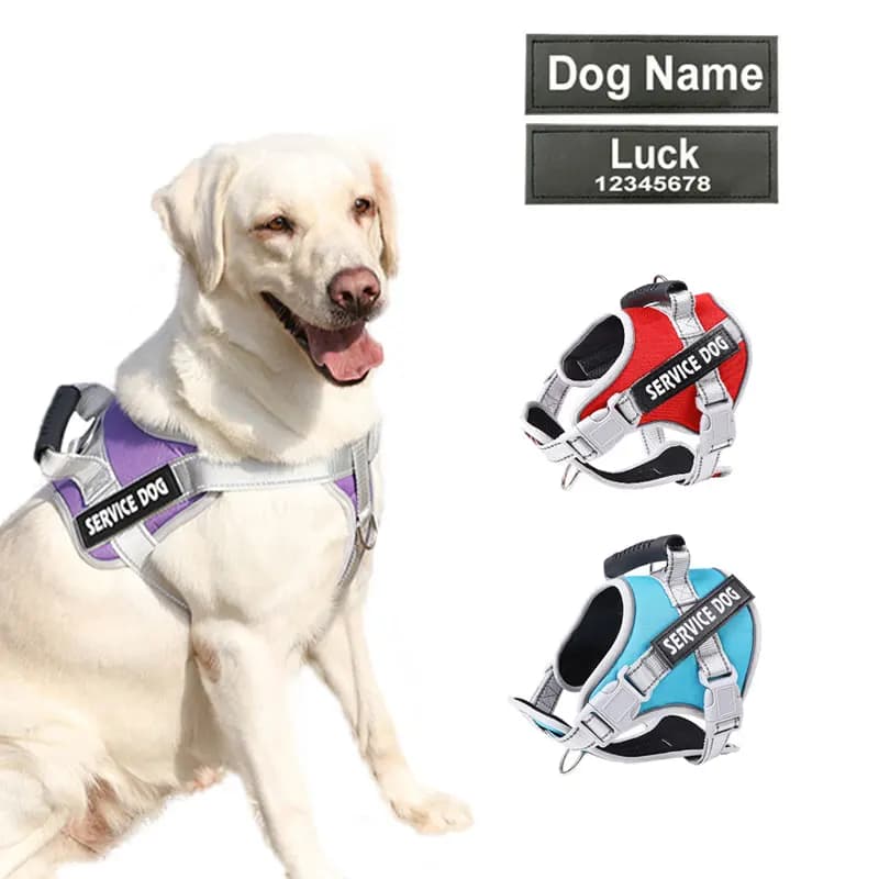Personalized Name Dog Harness Adjustable Golden Retriever Labrador Dog Harness Reflective for Large Dogs Dog Walking Accessories
