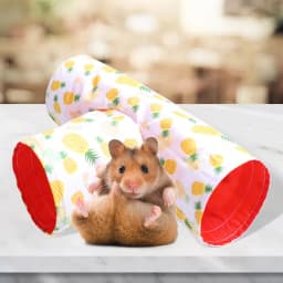 Small Guinea Pig Hamster Toy Tubes Tunnels Hamster Cage House Hideout Channel Chinchillas Hamster Tunnel Toy