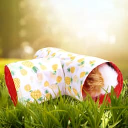 Small Guinea Pig Hamster Toy Tubes Tunnels Hamster Cage House Hideout Channel Chinchillas Hamster Tunnel Toy