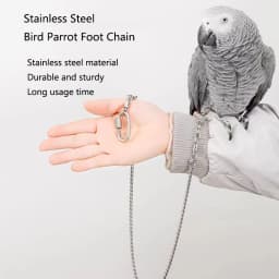 Stainless Steel Bird foot Chain Parrot Anti-flying Traction Rope Bird Feet Bracelet Alloy Foot Ring Pet Bird Training Leash