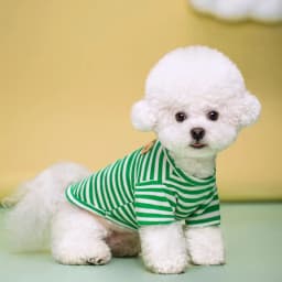 Bear Print Sriped Dog Summer Vest Dog Clothes Puppy T-Shirt Cotton Girls Dog Costume Chihuahua Bichon Frise Clothing Dog Apparel