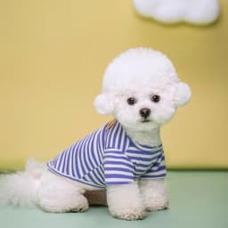 Bear Print Sriped Dog Summer Vest Dog Clothes Puppy T-Shirt Cotton Girls Dog Costume Chihuahua Bichon Frise Clothing Dog Apparel