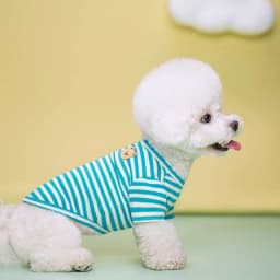 Bear Print Sriped Dog Summer Vest Dog Clothes Puppy T-Shirt Cotton Girls Dog Costume Chihuahua Bichon Frise Clothing Dog Apparel