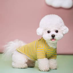 Bear Print Sriped Dog Summer Vest Dog Clothes Puppy T-Shirt Cotton Girls Dog Costume Chihuahua Bichon Frise Clothing Dog Apparel