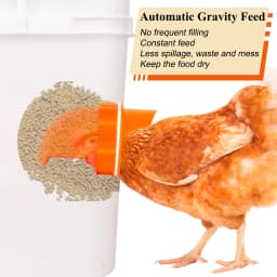 DIY Automatic Chicken Feeder Chicken Feeders No Waste Feed For Bucket Tank Barrels Bins Gravity Feed Kit Troughs