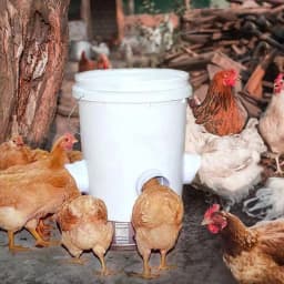 DIY Automatic Chicken Feeder Chicken Feeders No Waste Feed For Bucket Tank Barrels Bins Gravity Feed Kit Troughs