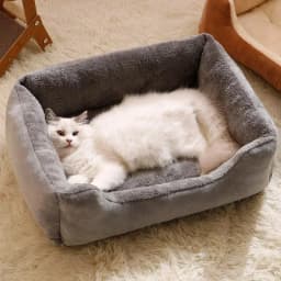 Bed for Cats Pet Products Cushions Kitten Winter Accessories Dog All Houses Supplies Things Accessory Habitats Basket House Beds
