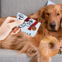 Tick Card With Magnifying Glass Allows Easy Removal Of Ticks Tick Remover For Dogs And Cats With Handy Pocket Size 8.5x5.4x0.1cm