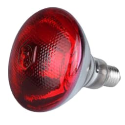 250w Infrared Heat Lamp Waterproof Anti-Explosion Thickened Light Bulbs For Piglet Chicken Duck Birds